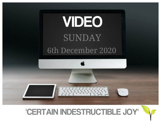 Certain Indestructible Joy